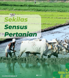 Sekilas tentang Sensus Pertanian 