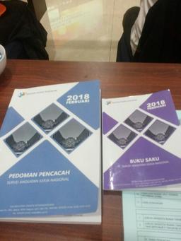 Pelatihan Survei Angkatan Kerja Nasional 2018