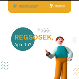 Overview of REGSOSEK